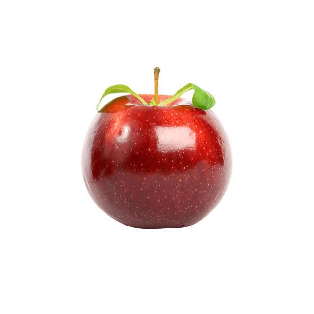 Branch Apple - Afbeelding 2