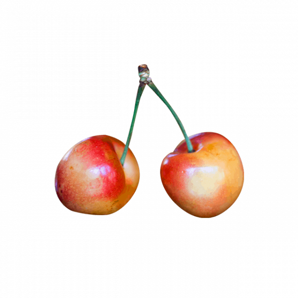 Green Apple - Afbeelding 2