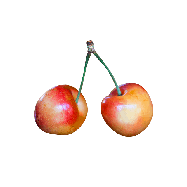 Branch Apple - Afbeelding 4